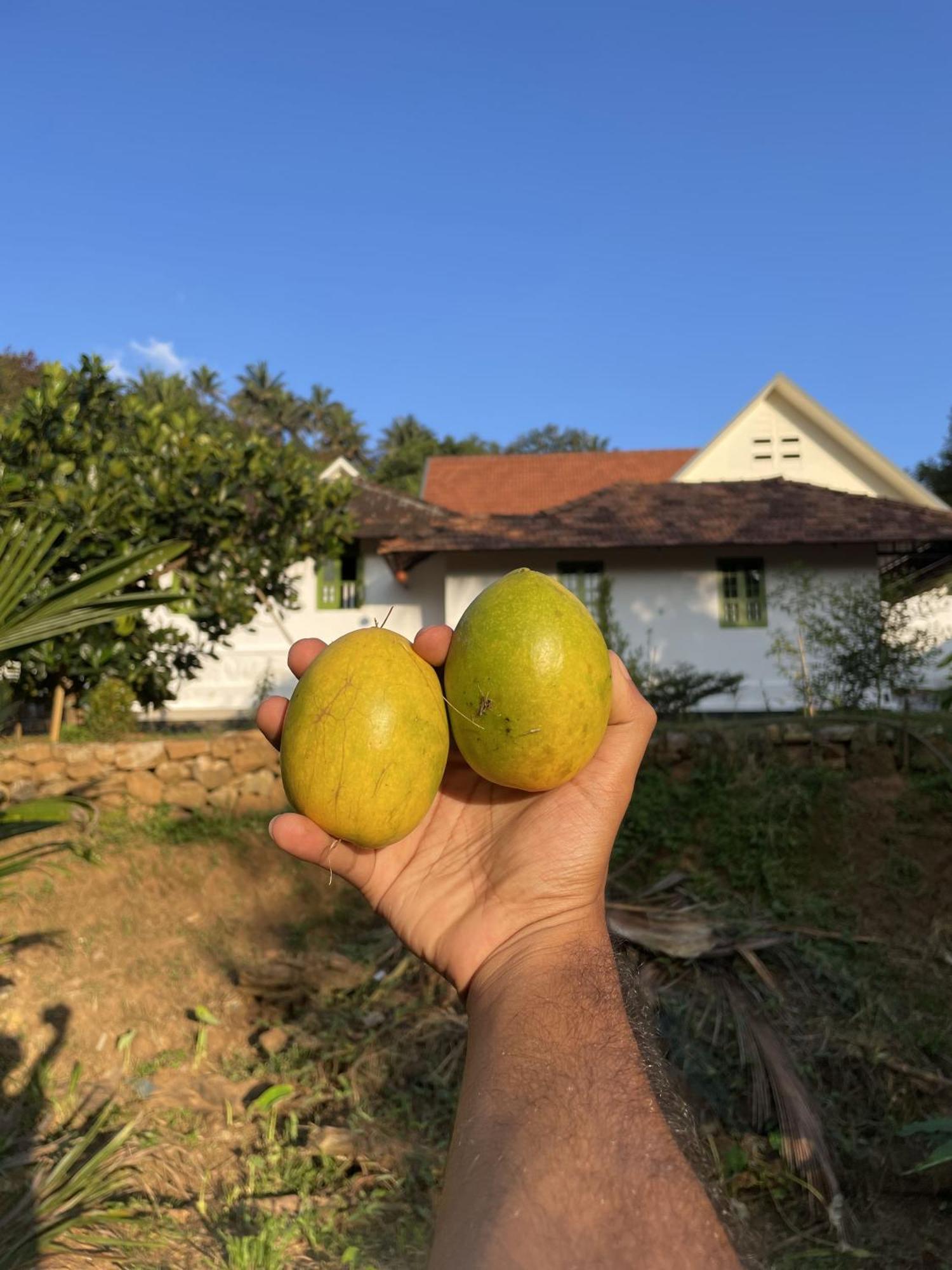 Calm Shack - 2 Bedroom-Boutique Farm Stay Munnar Eksteriør bilde