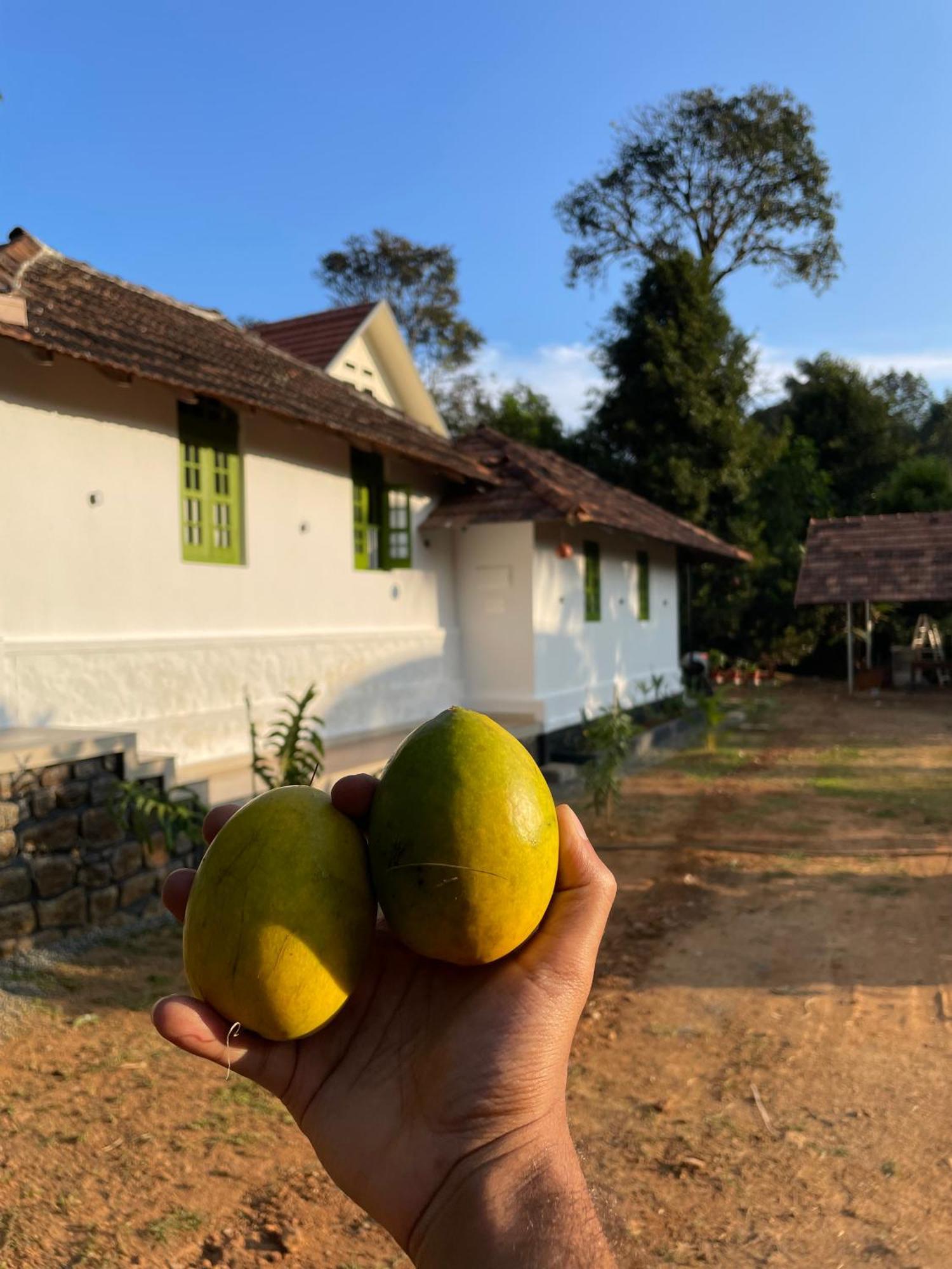 Calm Shack - 2 Bedroom-Boutique Farm Stay Munnar Eksteriør bilde