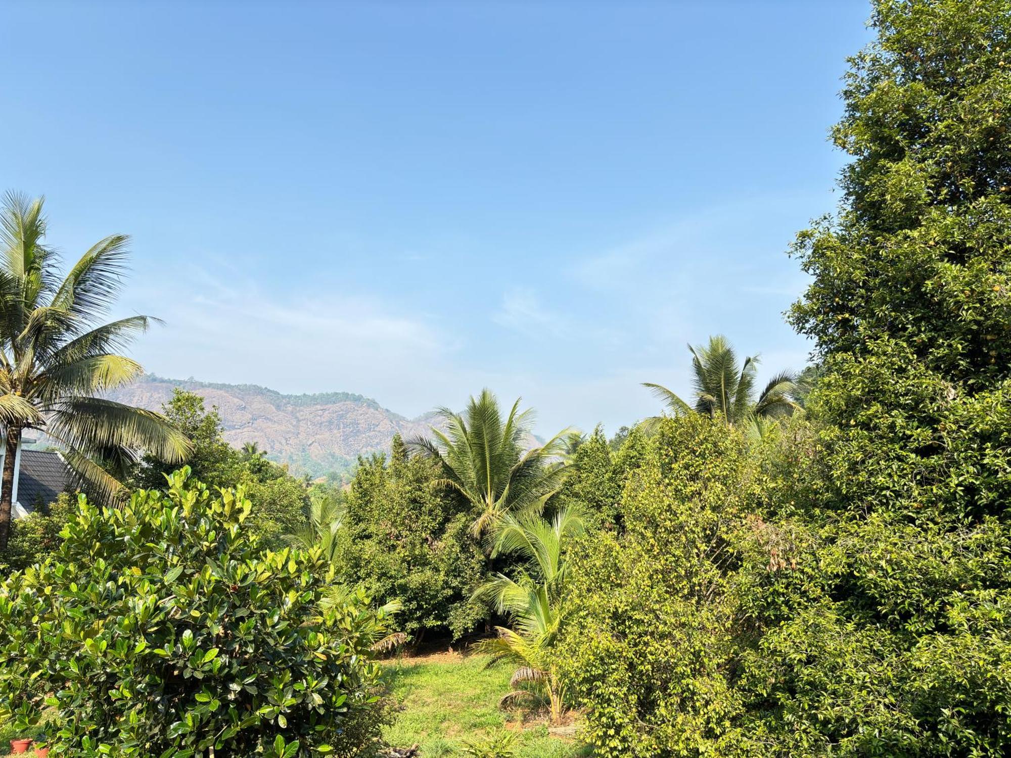 Calm Shack - 2 Bedroom-Boutique Farm Stay Munnar Eksteriør bilde