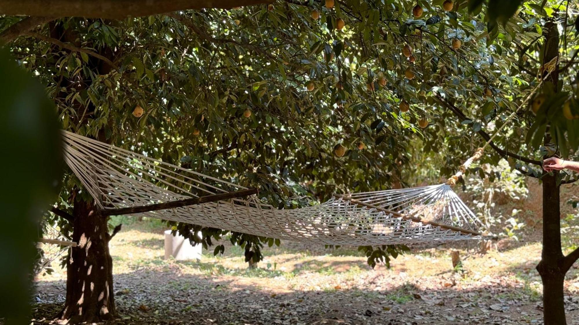 Calm Shack - 2 Bedroom-Boutique Farm Stay Munnar Eksteriør bilde